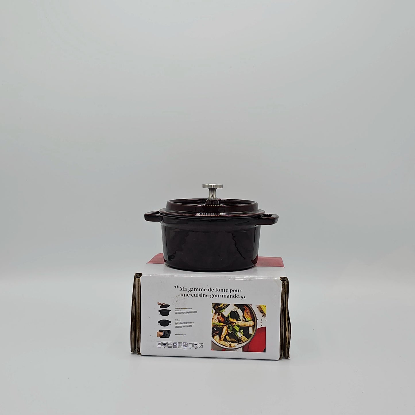 Mini Cocotte en Fonte Émaillée - L'Authenticité Culinaire en Format Individuel