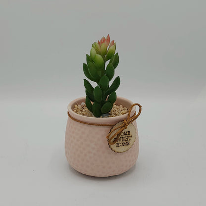 Plante Succulente Artificielle en Pot "Home Sweet Home" – Déco Zen & Sans Entretien