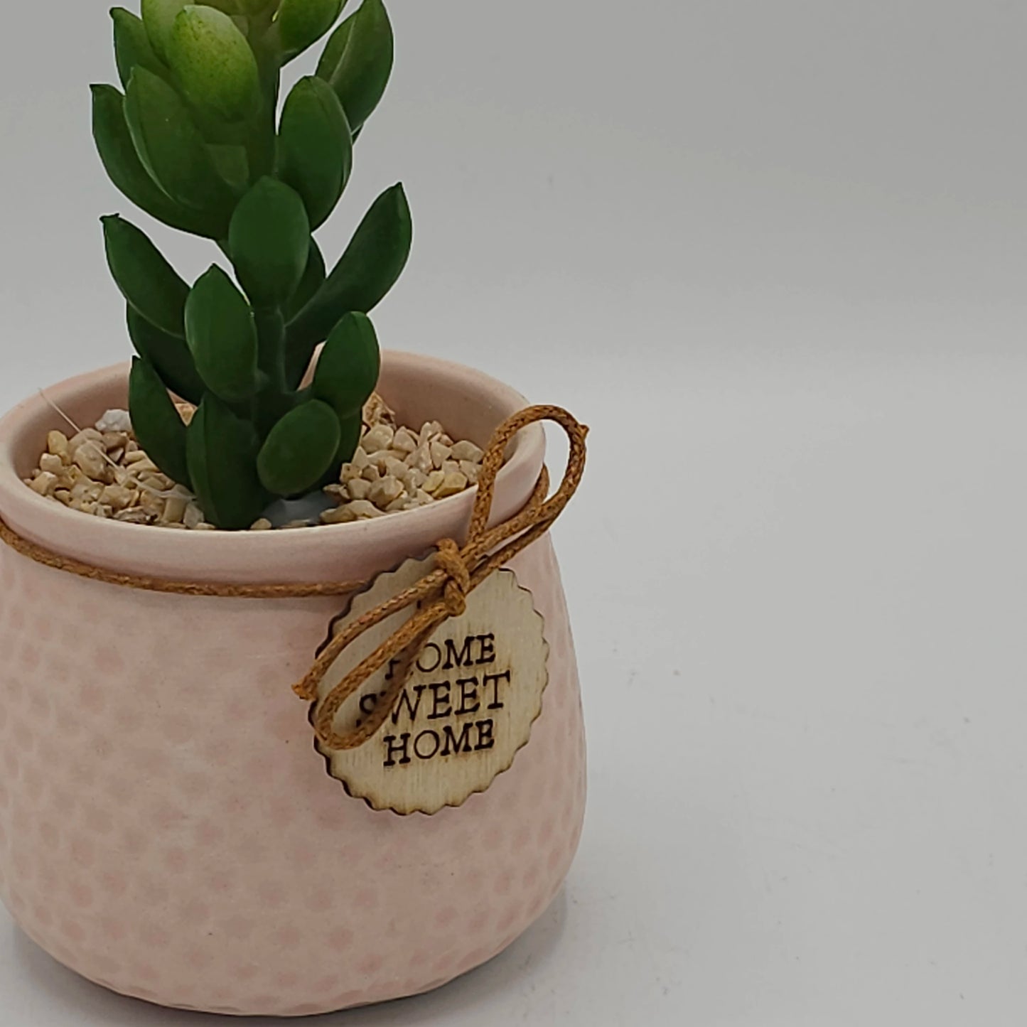 Plante Succulente Artificielle en Pot "Home Sweet Home" – Déco Zen & Sans Entretien