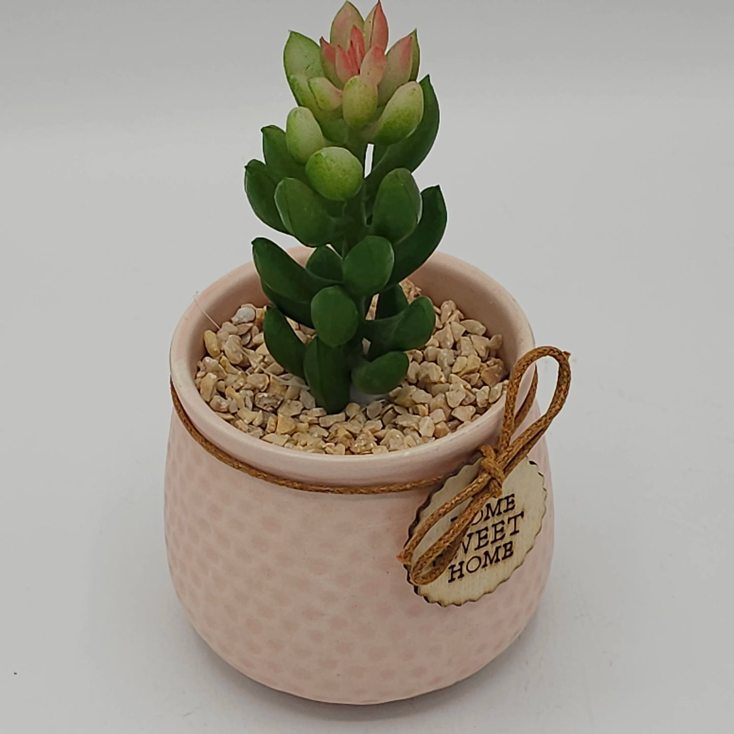 Plante Succulente Artificielle en Pot "Home Sweet Home" – Déco Zen & Sans Entretien