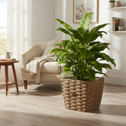 Cache-Pot Carré en Jute Tressé Naturel – Élégance Bohème