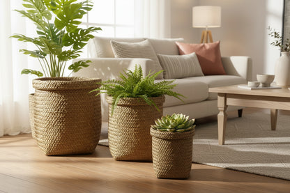 Cache-Pot d'Intérieur Design – Élégance & Nature