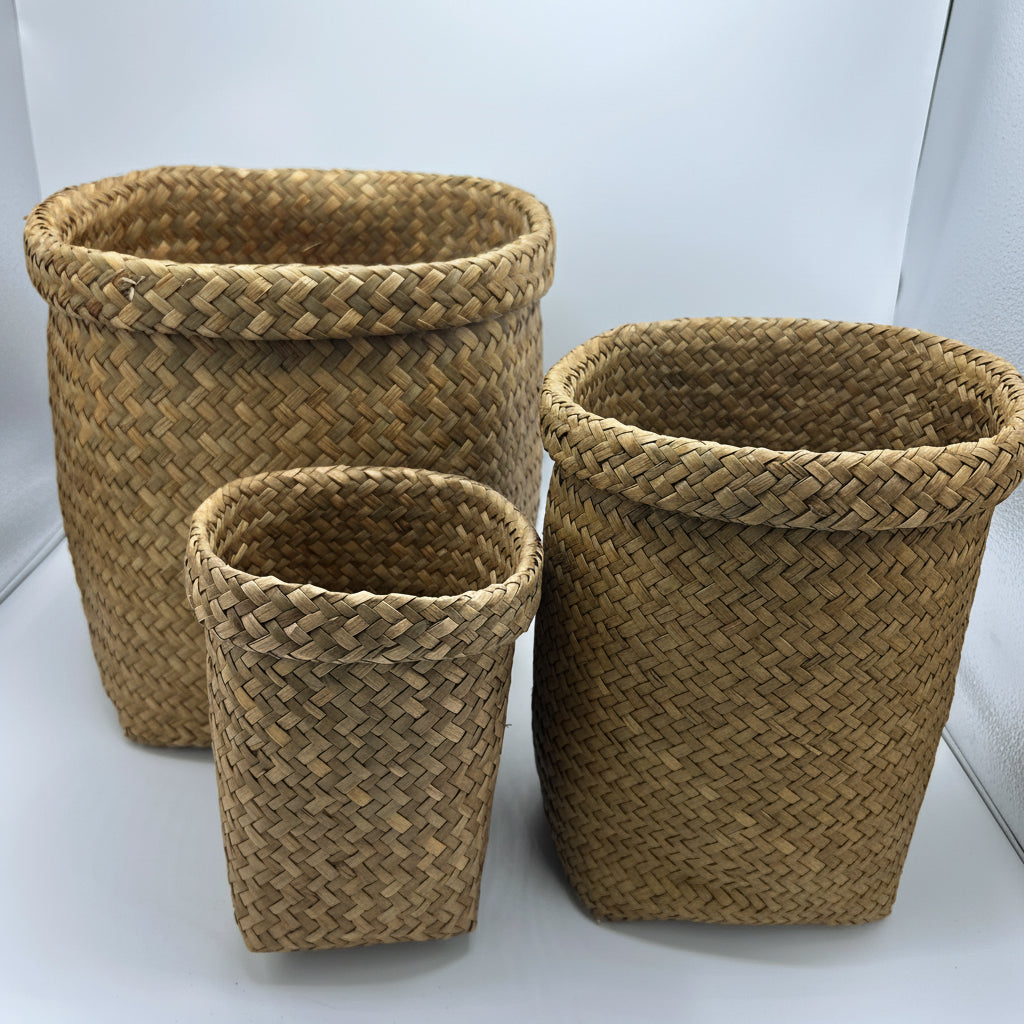 Cache-Pot d'Intérieur Design – Élégance & Nature