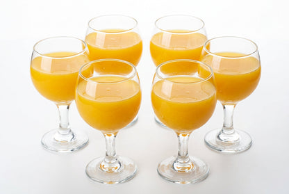 Lot de 6 Verres à Pied LAV